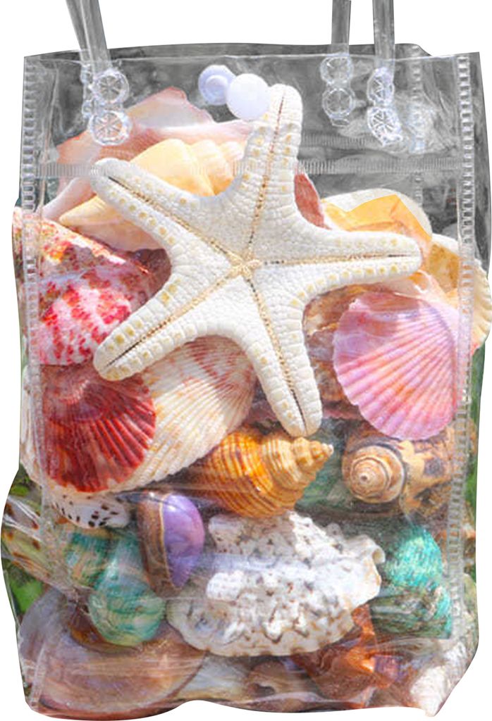 1 Beutel natürliche Muscheln, gemischte Meeresmuscheln, Seesterne, Muscheln in verschiedenen Größen, Muschelset für Heimwerker, Bastelarbeiten,...