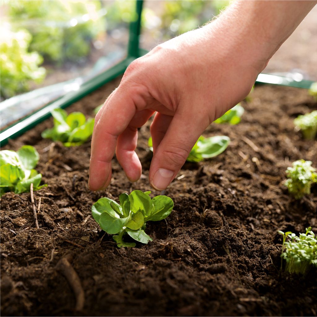 Parkside® Frühbeet Treibhaus Gewächshaus Folienfrühbeet Produktbild 11