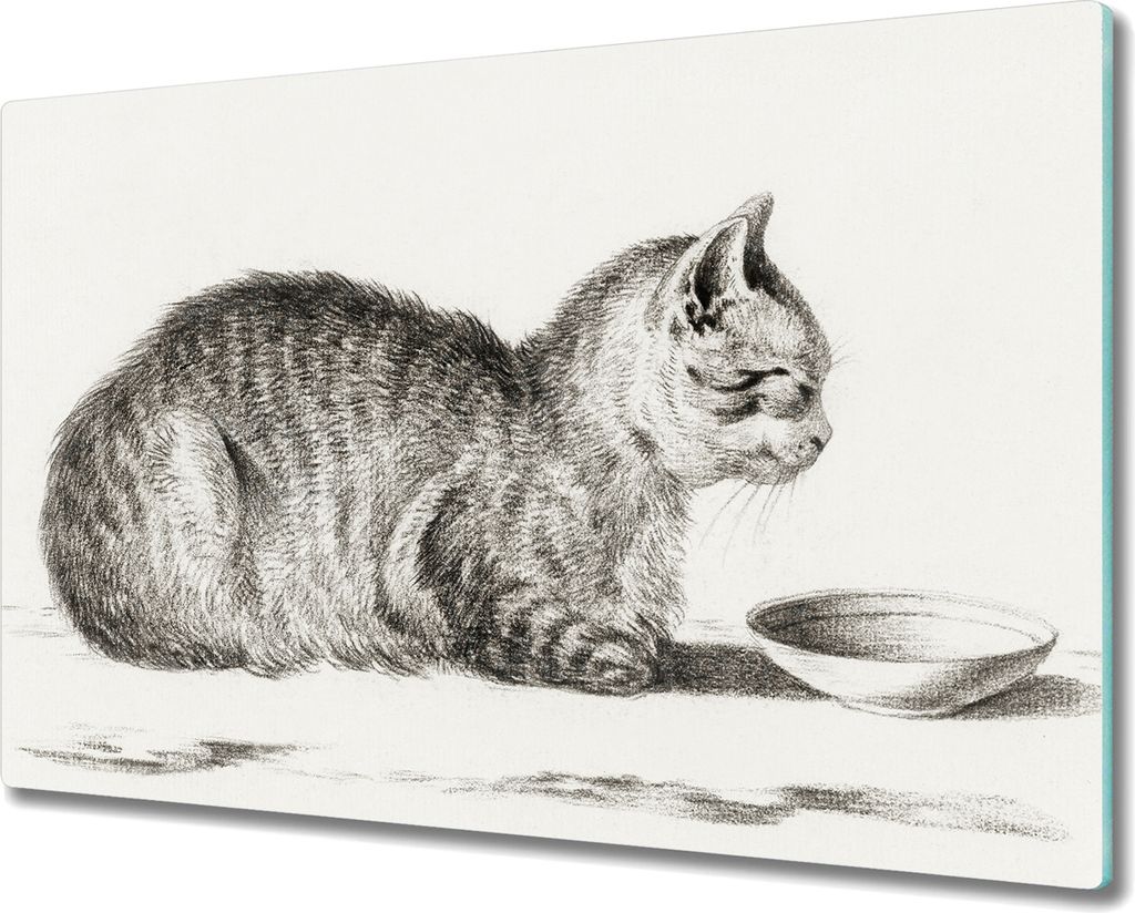Coloray Schneidebrett Herdabdeckplatte 80x52 cm Kochplattenabdeckung Küchenbrett Hackbrett - Katze