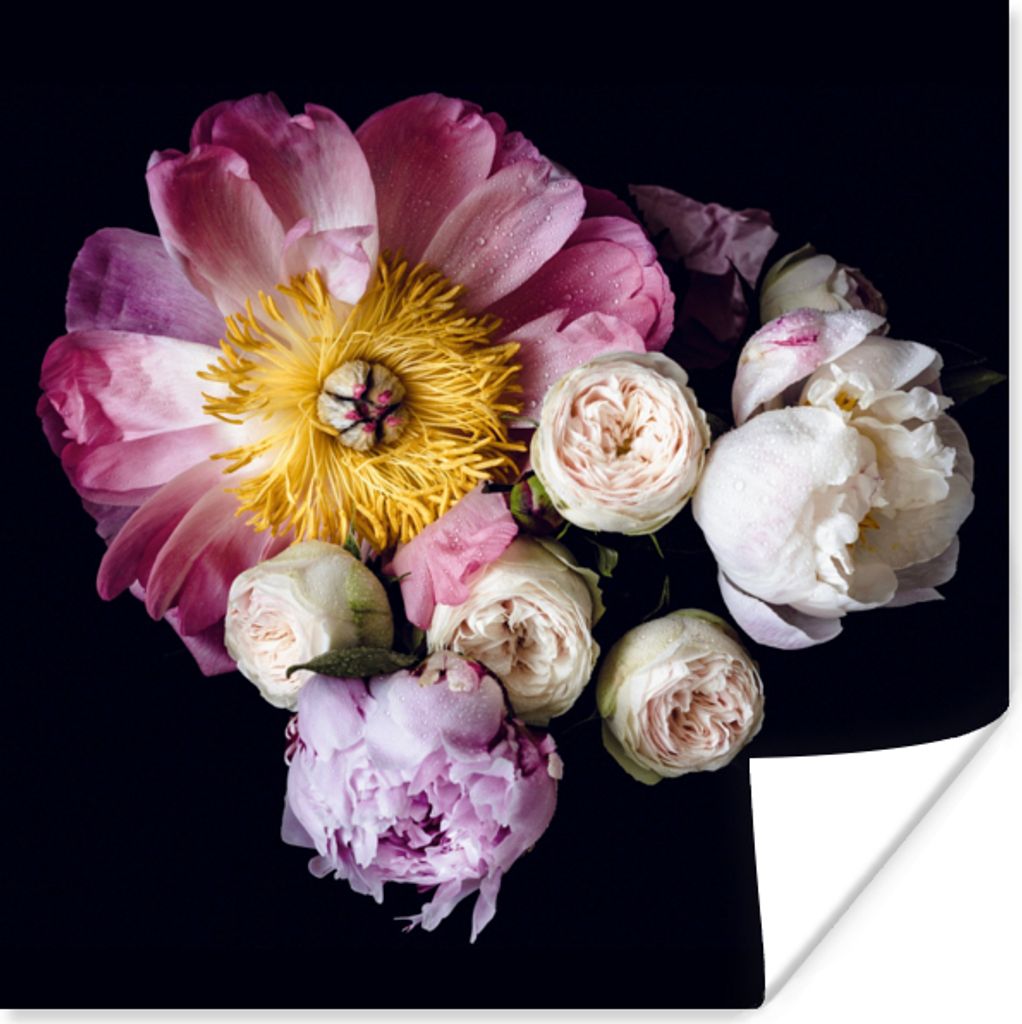 MuchoWow Poster Blumen - Rosa - Pastell 75x75 cm - Wand Dekoration