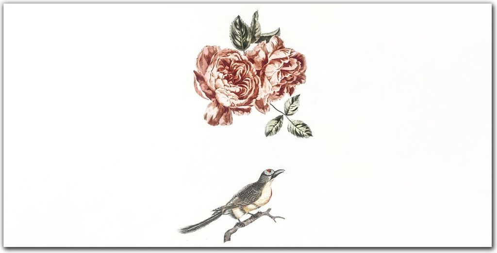 Coloray - Bild aus Glas - 120x60 cm - Küche wanddekoration Dekoration wohnzimmer gehärtetes Glas glasblock mit bild - Tiervogelblumen
