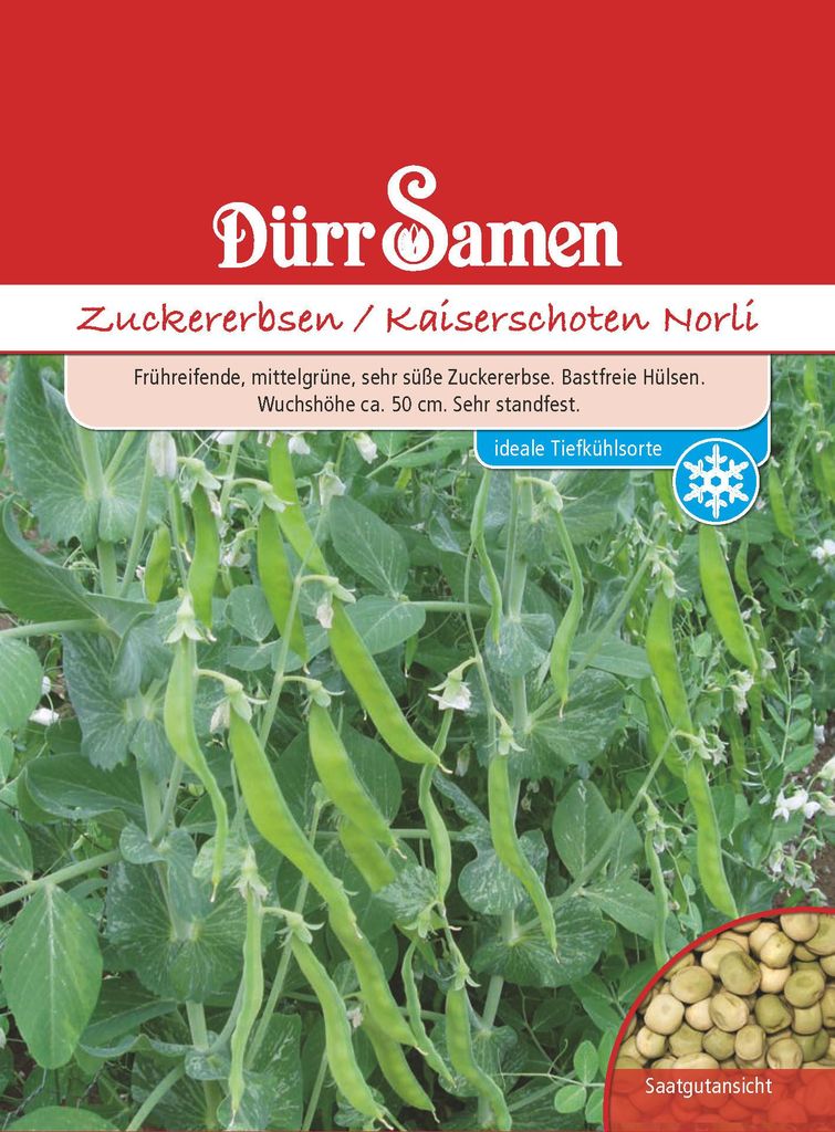 Zuckererbse Norli | Zuckererbsensamen von Dürr Samen Produktbild 