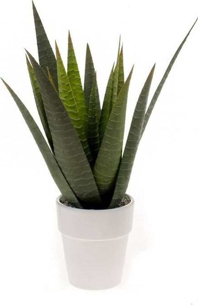 artplants.de Künstliche Sukkulente Aloe Variegata Martinez, Keramiktopf, grün, 30cm, Ø 17cm