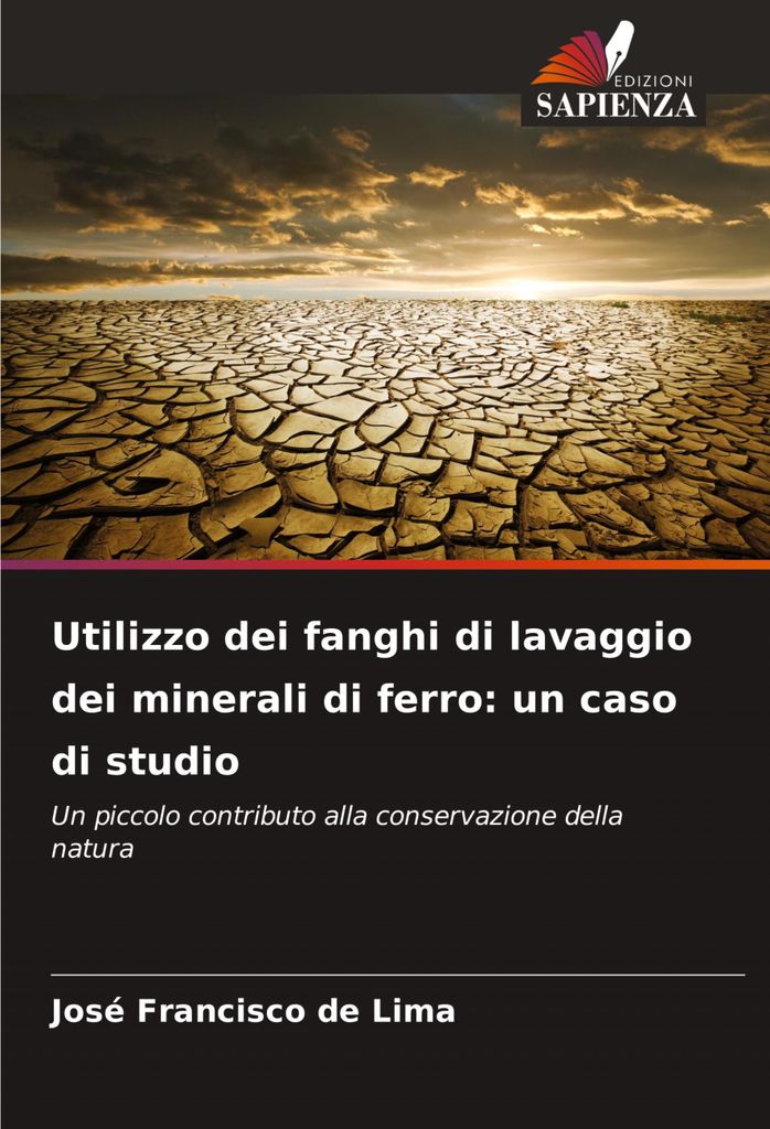 Utilizzo dei fanghi di lavaggio dei minerali di ferro: un caso di studio