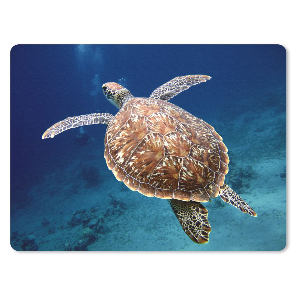 MuchoWow Mauspad Mousepad Schildkröte Fotodruck 40x30 cm - Mousepads - Maus Mat - Pad - Mausunterlage - Anti Rutsch