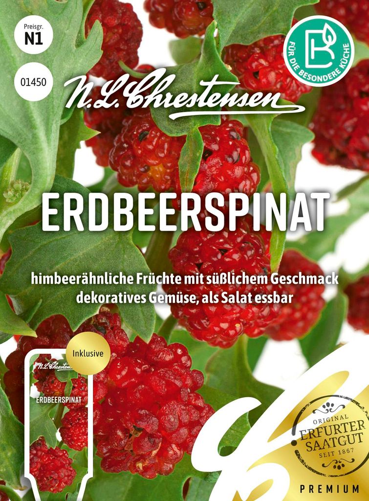Artikelbild 1 von 'Erdbeerspinat' aus der Kategorie Spinatsamen