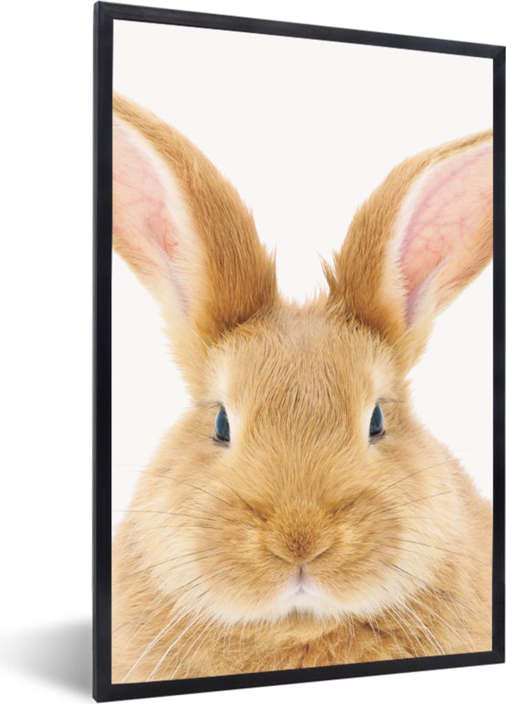 MuchoWow Gerahmtes Poster Kinder - Kaninchen - Kind - Mädchen - Jungen 60x90 cm - Poster mit Schwarzem Bilderrahmen Wandposter Rahmen Foto Bilde...