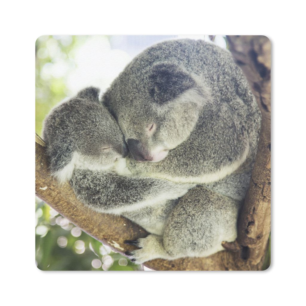 MuchoWow Mauspad Mousepad Koalas - Plüschtier - Tiere - Kinder - Jungen - Mädchen 30x30 cm - Mousepads - Maus Mat - Pad - Mausunterlage - Gaming