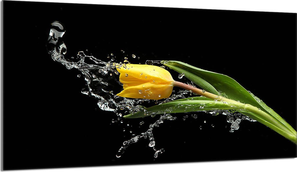 Glas-Herdplattenschutz 90x52 Tulpe Produktbild 