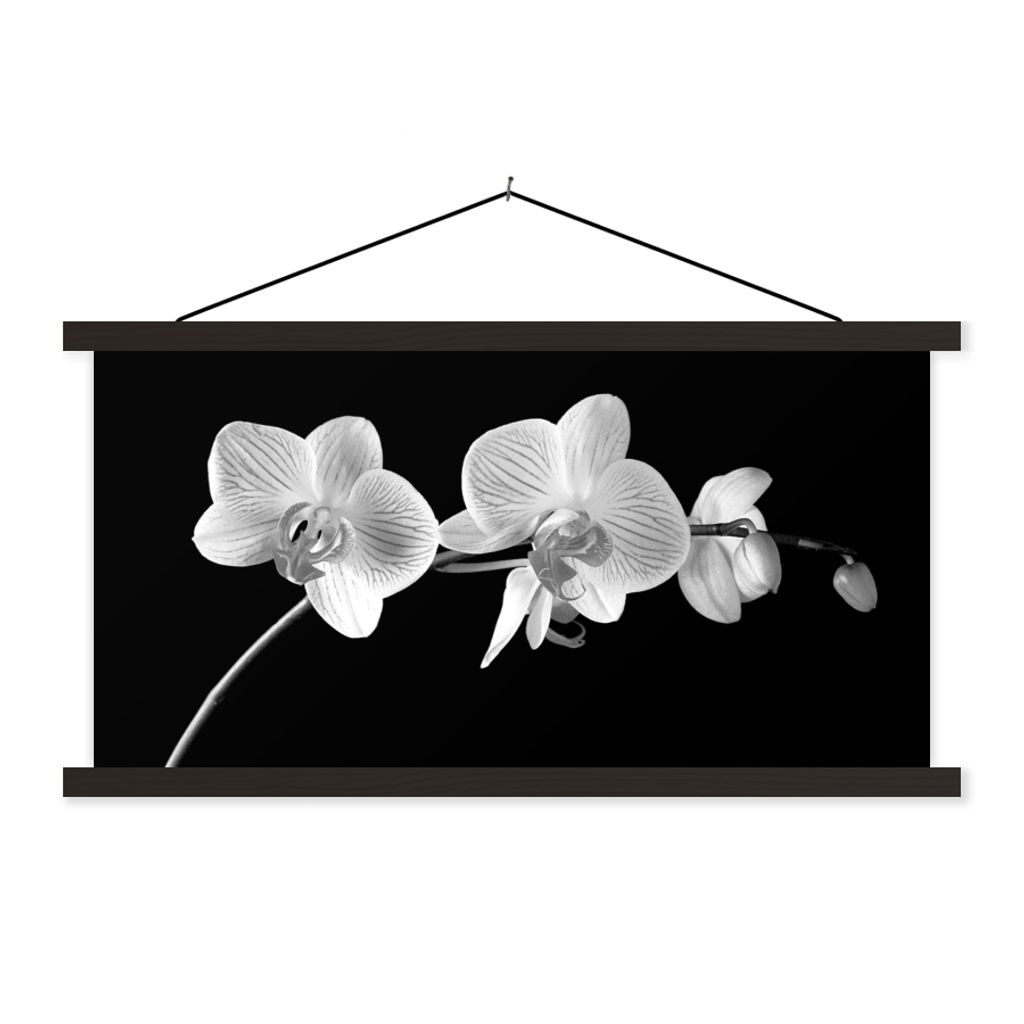 MuchoWow Textilposter Orchidee - Blumen - Schwarz - Rosa - Knöpfe 90x45 cm mit schwarzem Rahmen - Klemmleisten