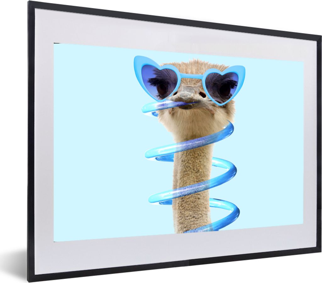 MuchoWow Gerahmtes Poster Strauß - Sonnenbrille - Blau - Tiere 60x40 cm - Poster mit Schwarzem Bilderrahmen Wandposter Rahmen Foto Bilder - Schl...