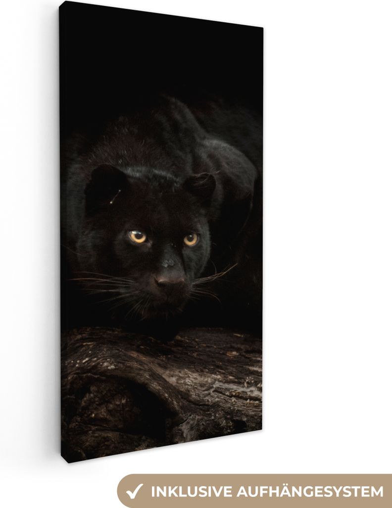 MuchoWow - Leinwandbilder - Panther - Wald - Augen, Wandbild, Wanddeko Bilder Wohnzimmer, 40x80 cm