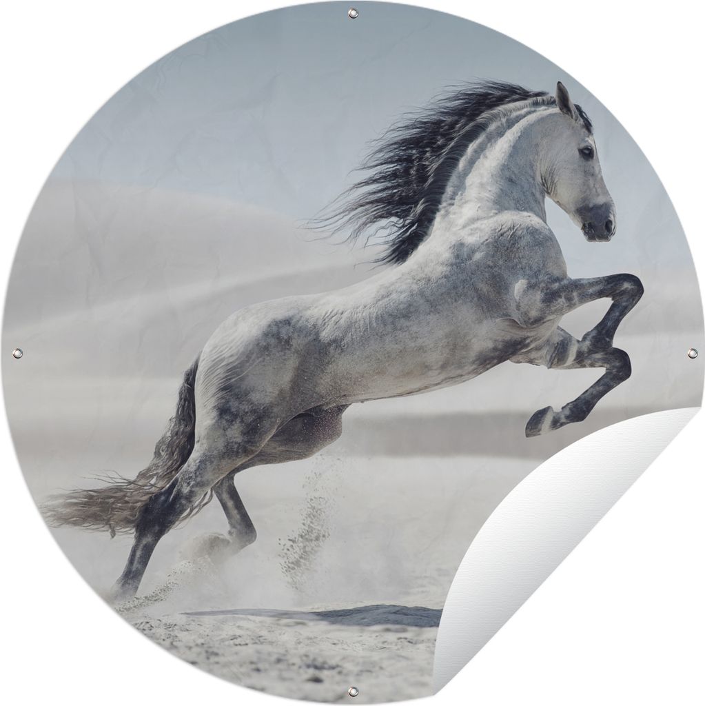 MuchoWow Gartenposter Outdoor-Poster Rund Pferd - Tiere - Sand - Natur Ø 90 cm Gartendeko Rundes Poster draußen