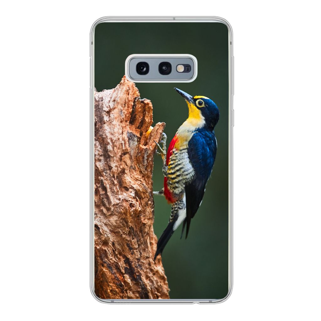 MuchoWow Handyhülle Schutzhülle Hülle für Samsung Galaxy S10e Nahaufnahme eines bunten Vogels auf der Seite eines Baumstamms Silikon Softcase...