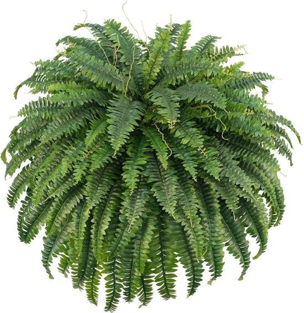 Plante Artificielle Intérieur et Extérieur - Fougère Boston 132 cm Jardin