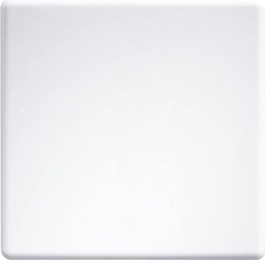 Bascule Eltako 30055966 gravée laser pour remplacer bouton usé blanc