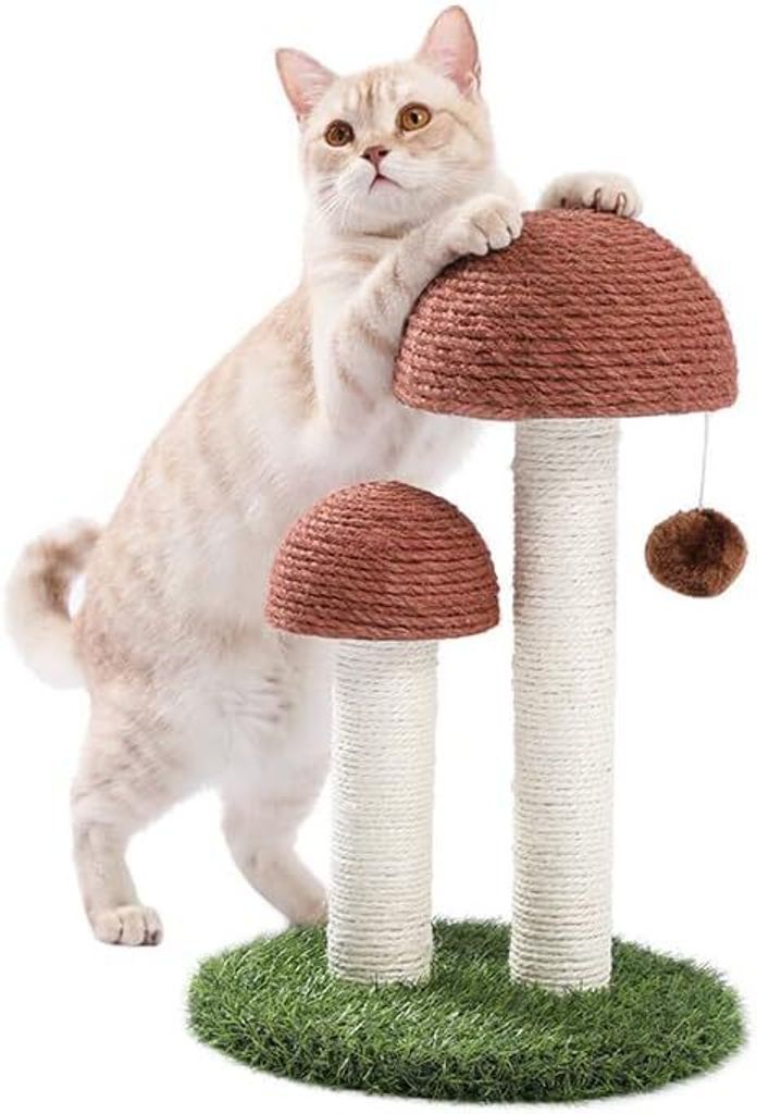 PurpurRain – Kratzstamm Champignon für Katzen, 48 cm Produktbild 4