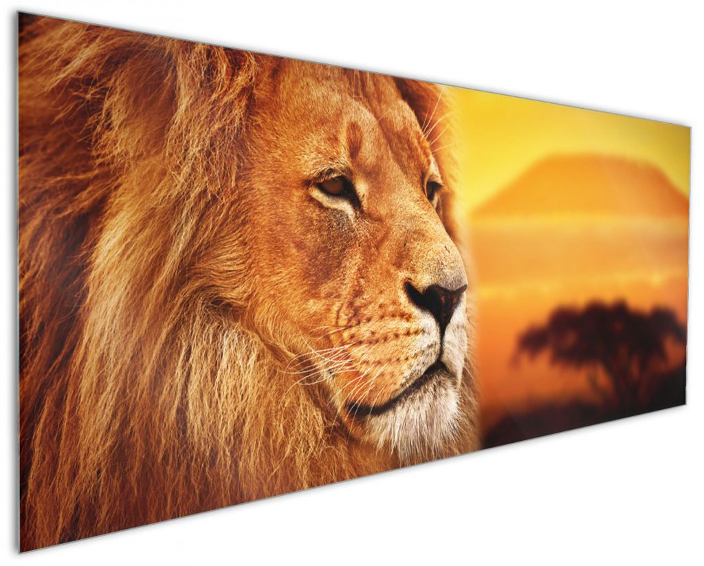 Wallario Küchenrückwand aus Glas, Größe: 125 x 50 cm, Produktbild 