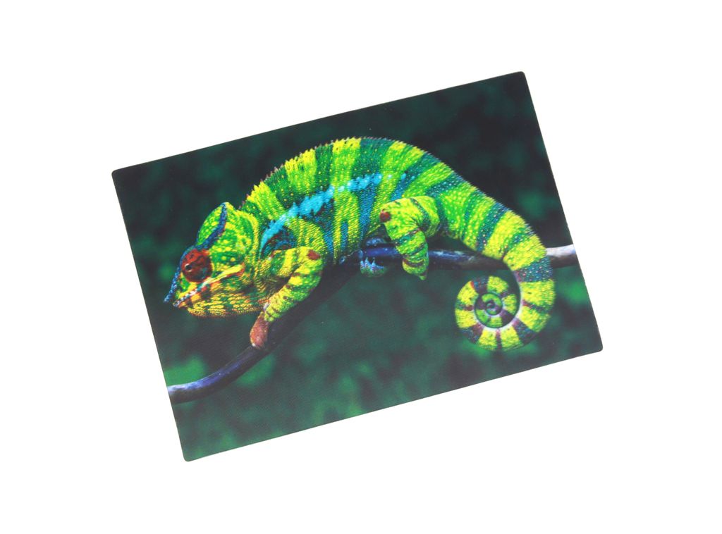 3 D Ansichtskarte Chamäleon, Postkarte Wackelkarte Produktbild 