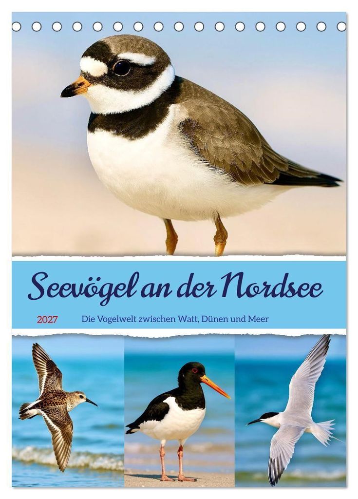 Seevögel an der Nordsee (Tischkalender 2027 DIN A5 hoch), CALVENDO Monatskalender