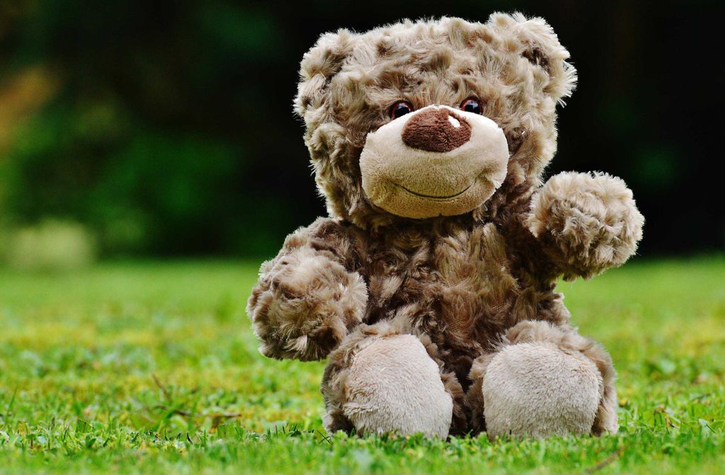 hansepuzzle 16565 - Teddy auf der Wiese Puzzle, 500 Teile, Tierwelt, 46,0 x 30,0cm mit hochwertiger Aufbewahrung, Kartonbox & Beutel
