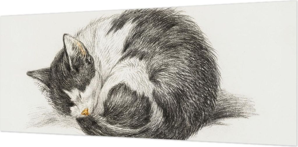 Wandtapete - Dekorative Tapete für Wohnzimmer- Tapetenfolie für Wanddekoration - 208x146 cm - entzückende Katze