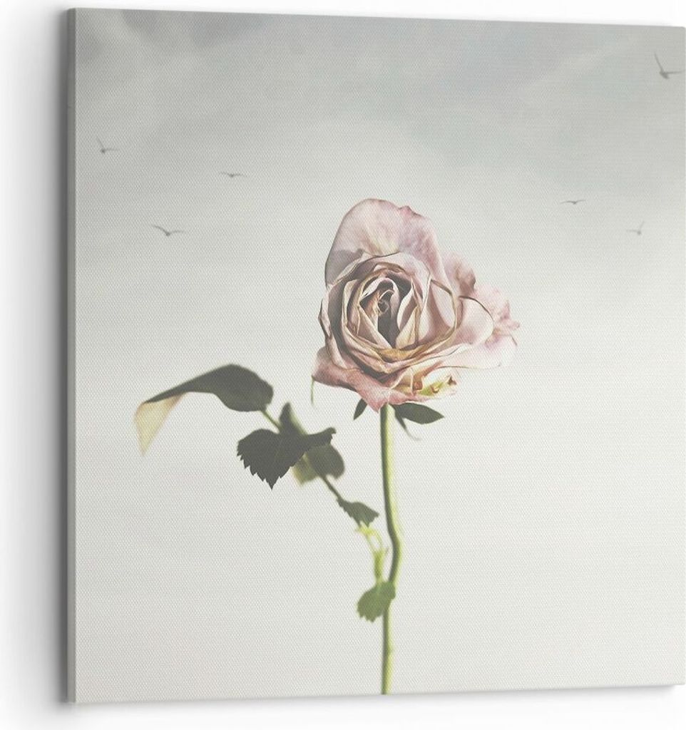 Bild auf Leinwand - Leinwandbild - Einteilig - Rose Vögel Himmel - 70x70cm - Wand Bild - Wanddeko - Wandbilder - Leinwanddruck - Bilder - Wanddeko...