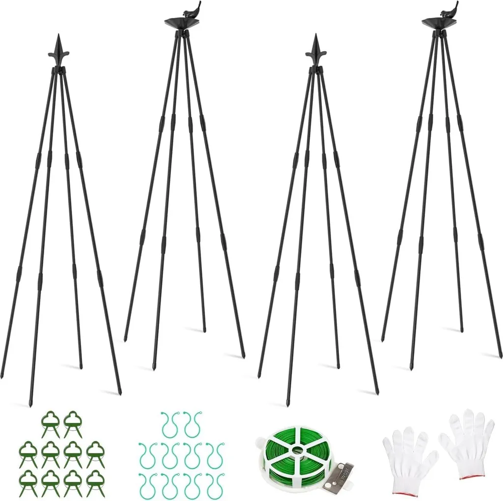 Obélisque pour plante grimpante tuteur de jardin en fer lot de 4