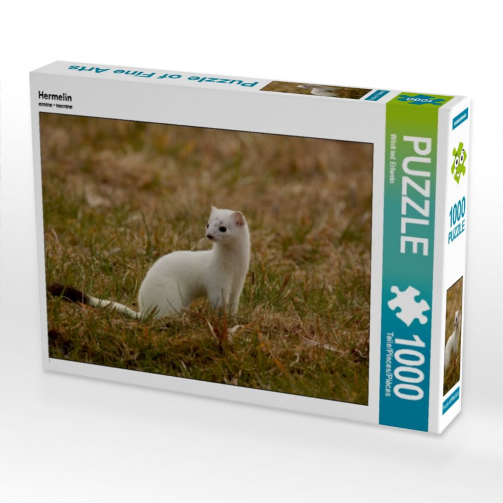 Calvendo Hermelin 1000 Teile Puzzle quer 640x480mm, Erlwein Winfried; 7376577