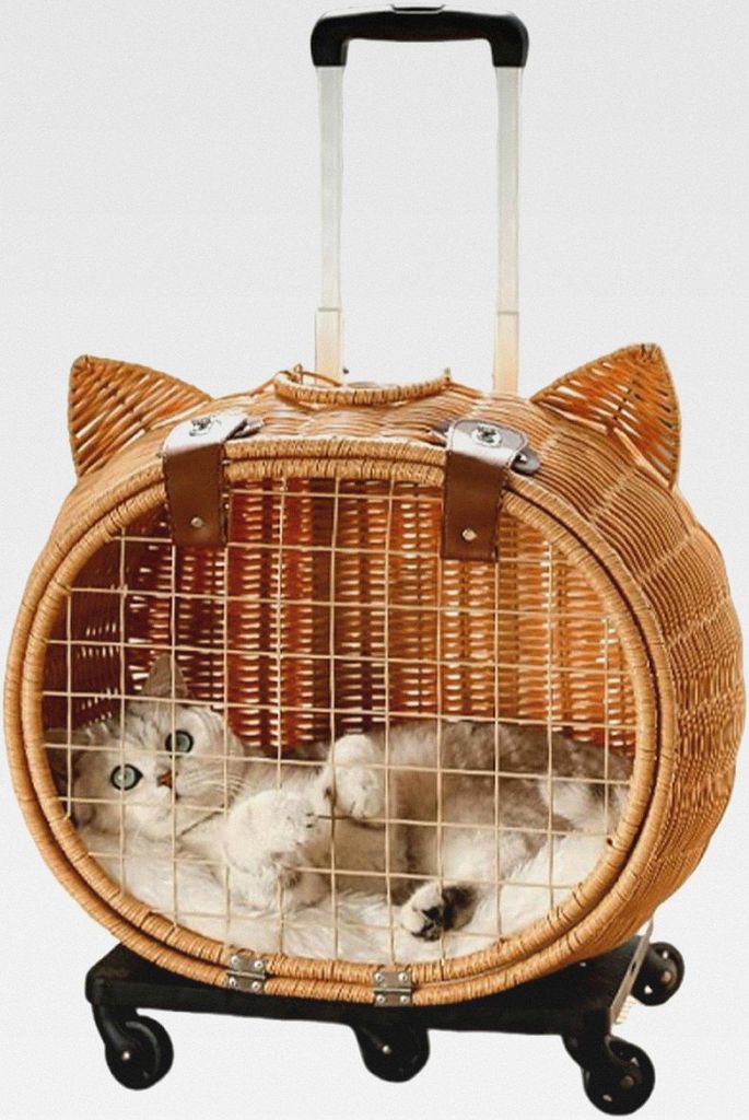 Haustierwagen - Rattan Hundewagen Mit Rädern Für Katzen | Atmungsaktive Haustiertasche Mit Teleskopgriff Für Camping Einkaufen Picknick Outdoor ...