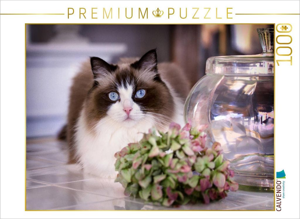 CALVENDO Puzzle Ein Motiv aus dem Kalender Samtpfoten Produktbild 