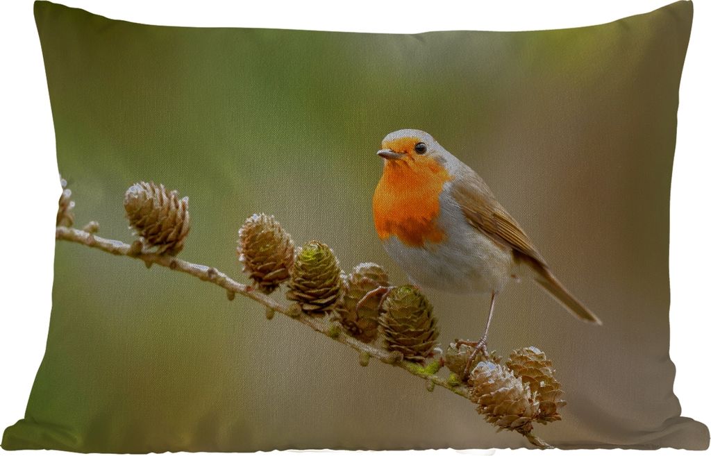 MuchoWow Outdoor Kissen - Vogel - Rotkehlchen - Tannenzapfen - Zweig - Herbst - 50x30 cm - Wetterfest - Lounge Kissen - Sofa kissen - Wohnzimmer ...