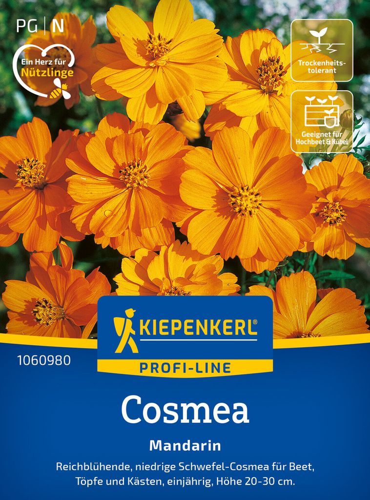 Kiepenkerl Cosmossamen Mandarin Cosmos sulphureus 30 Pflanzen