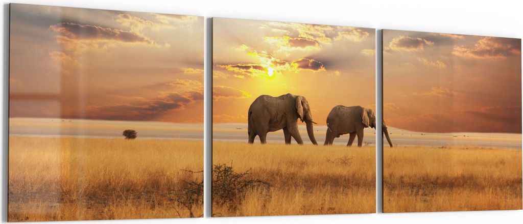 DEQORI Glasbild Echtglas 3x50x50 cm 'Elefanten in der Steppe' Wandbilder XXL groß