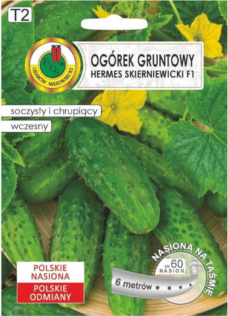 Gurkensamen Hermes Skierniewicki F1 frühe Sorte auf 6m Band