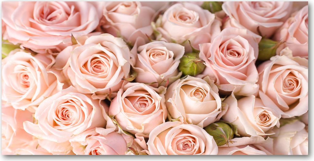 Tulup Glas-Bild -140x70- Wandkunst Dekorative Wand für Küche & Wohnzimmer - Blumen & Pflanzen - Rosen - Rosa