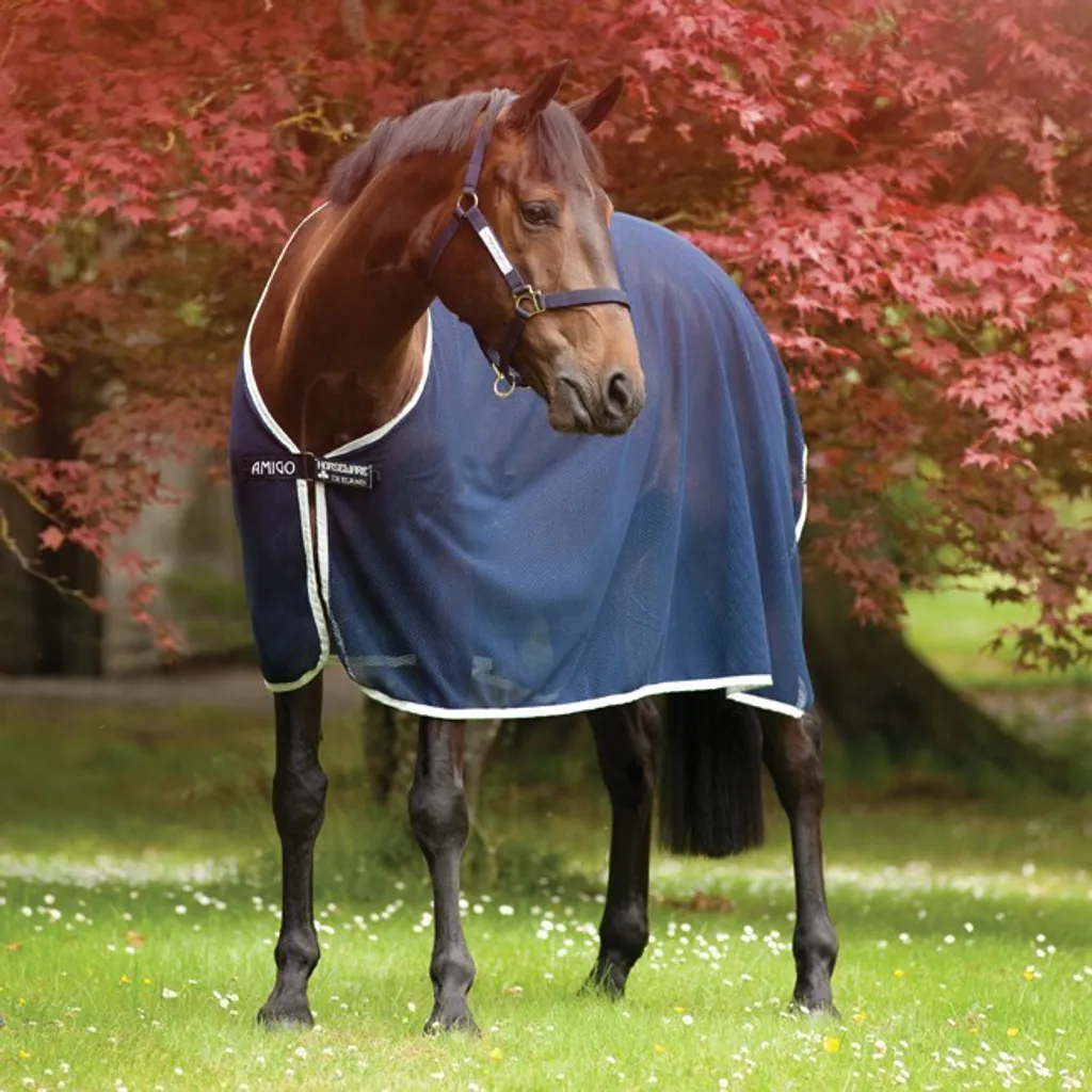 Horseware Amigo Net Cooler Blu Argento | Recensione e Vendita Online