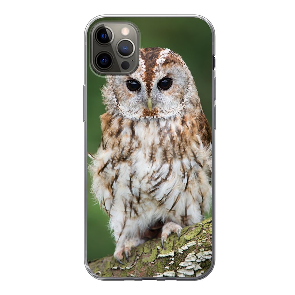 MuchoWow Handyhülle Schutzhülle Hülle für iPhone 13 Pro Max Braune Eule sitzt auf einem Baum Silikon Softcase Handy Hülle - Mobiltelefon