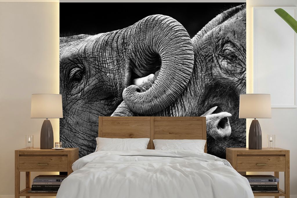 MuchoWow Fototapete für Wohnzimmer oder Schlafzimmer Wandtapete Vinyl Motivtapete Elefant - Tiere - Schwarz - Weiß - 220x220 cm - Tapeten