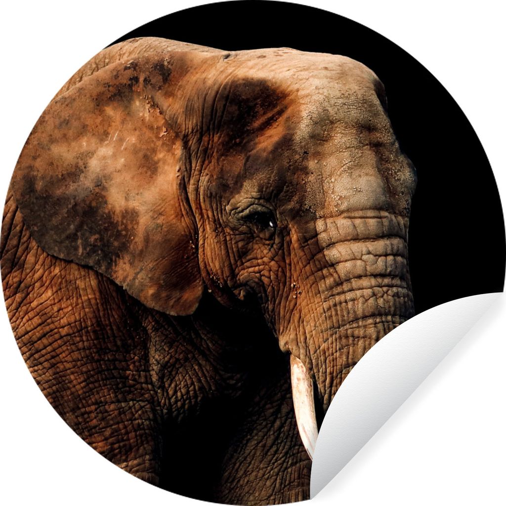 MuchoWow Runde Wandtattoo - Wandsticker Tapete Aufkleber Elefant - Tiere - Braun Ø 80 cm Selbstklebend und Repositionierbar - Wandaufkleber - Kr...
