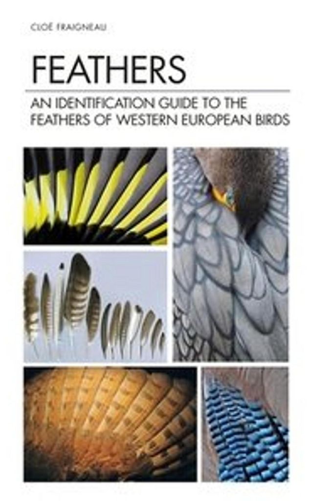 Feathers Obrázek produktu 