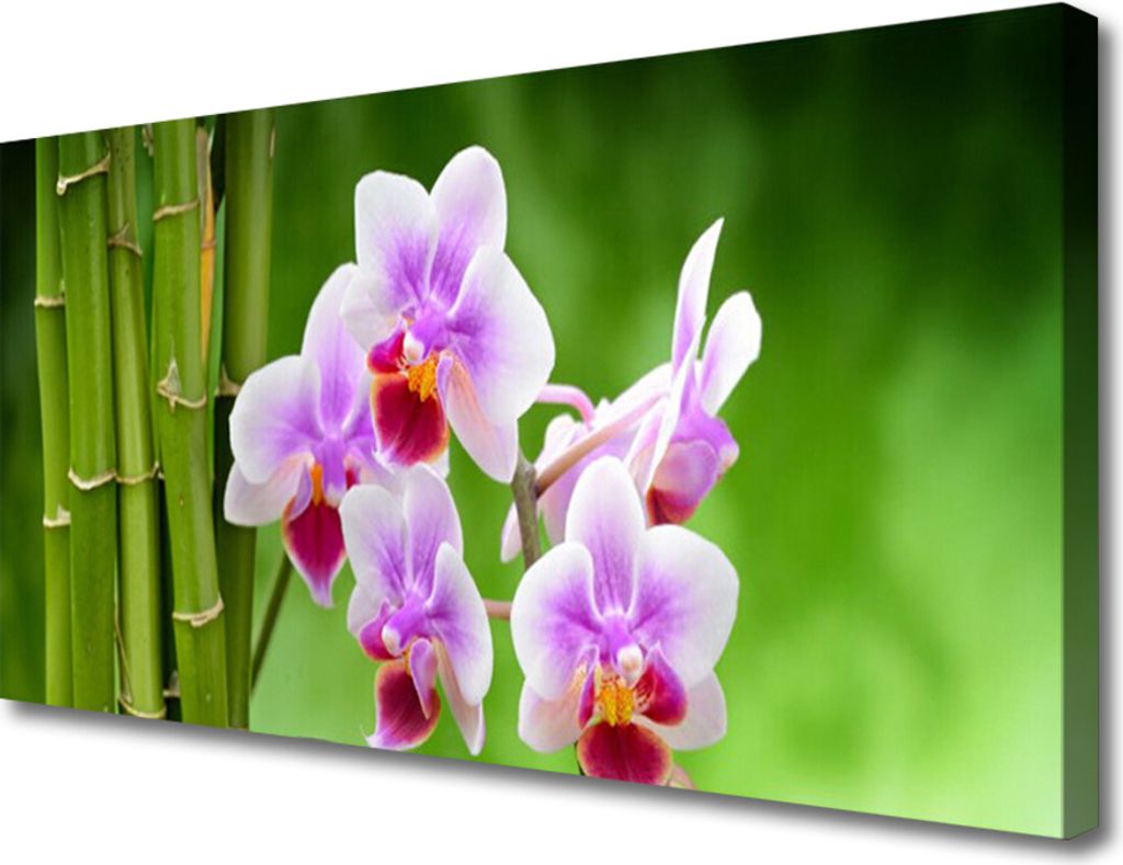 Tulup Leinwand-Bilder 100x50 Wandbild Canvas Kunstdruck Bambusrohre Blumen Pflanzen
