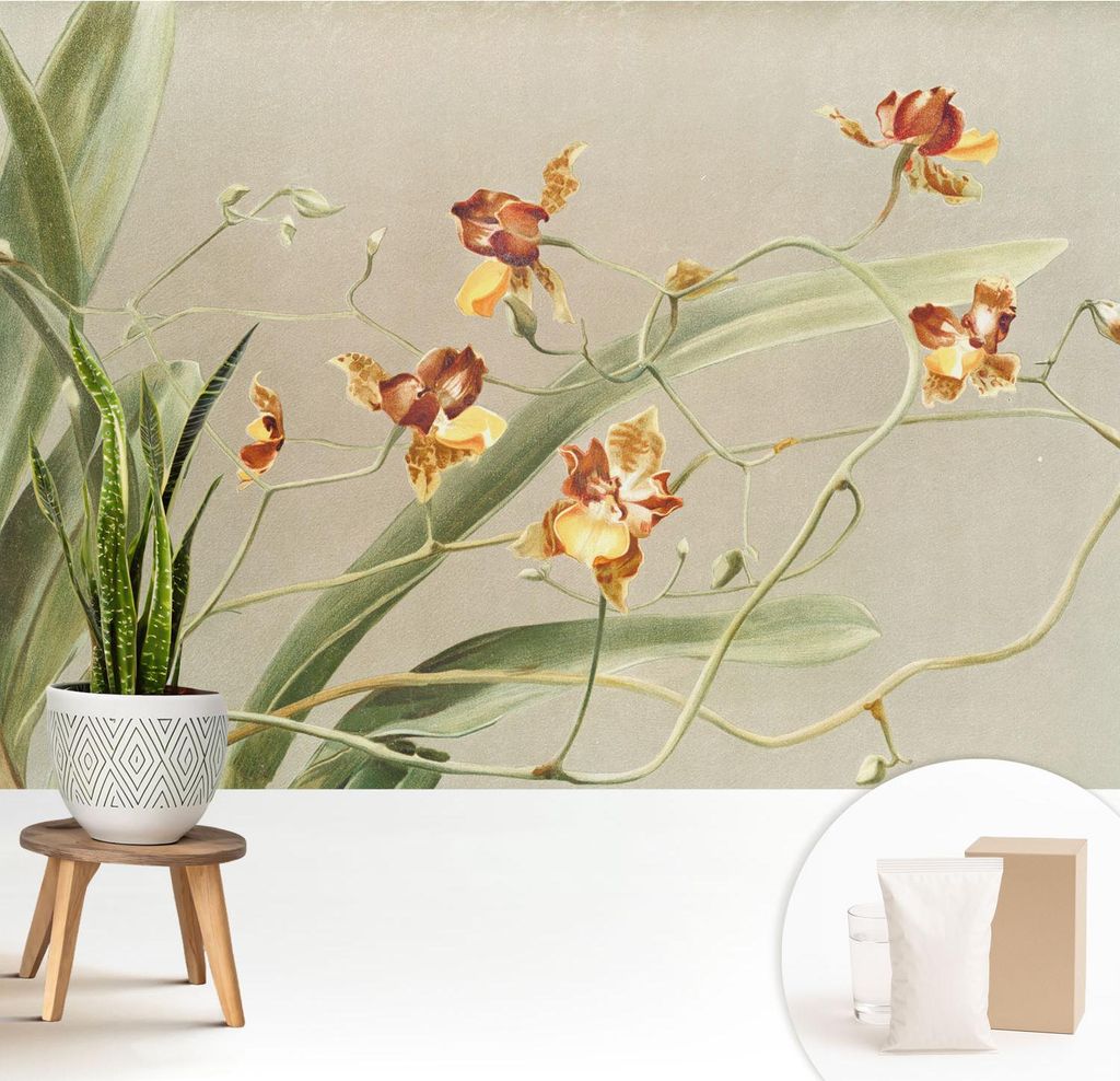 Fototapete - 208x146 cm - Tapete - Wandtapete - Wandbilder - Dekofolie - Tapete Folie - Wand - Dekoration - Wohnzimmer - Klassische Orchideen