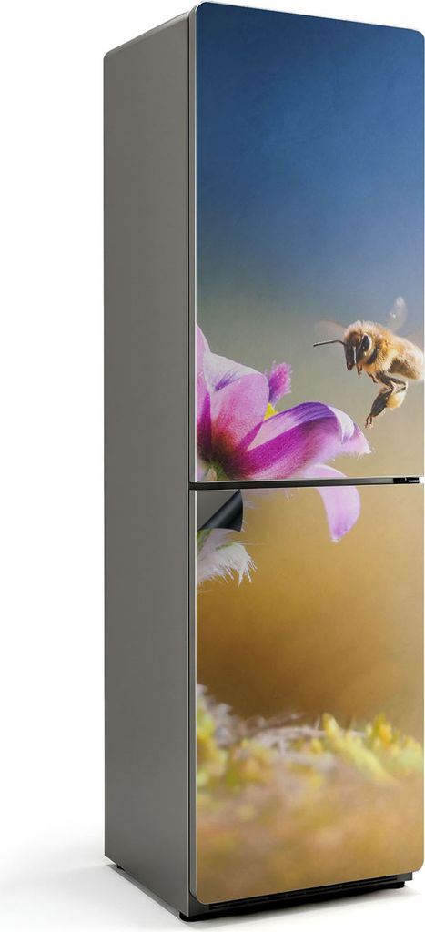 Insekt und Blume im Detail – Magnetische Kühlschrank Abdeckung – Dekorfolie magnetisch Küche – Kühlschrank Magnet Deko – selbstklebende ...