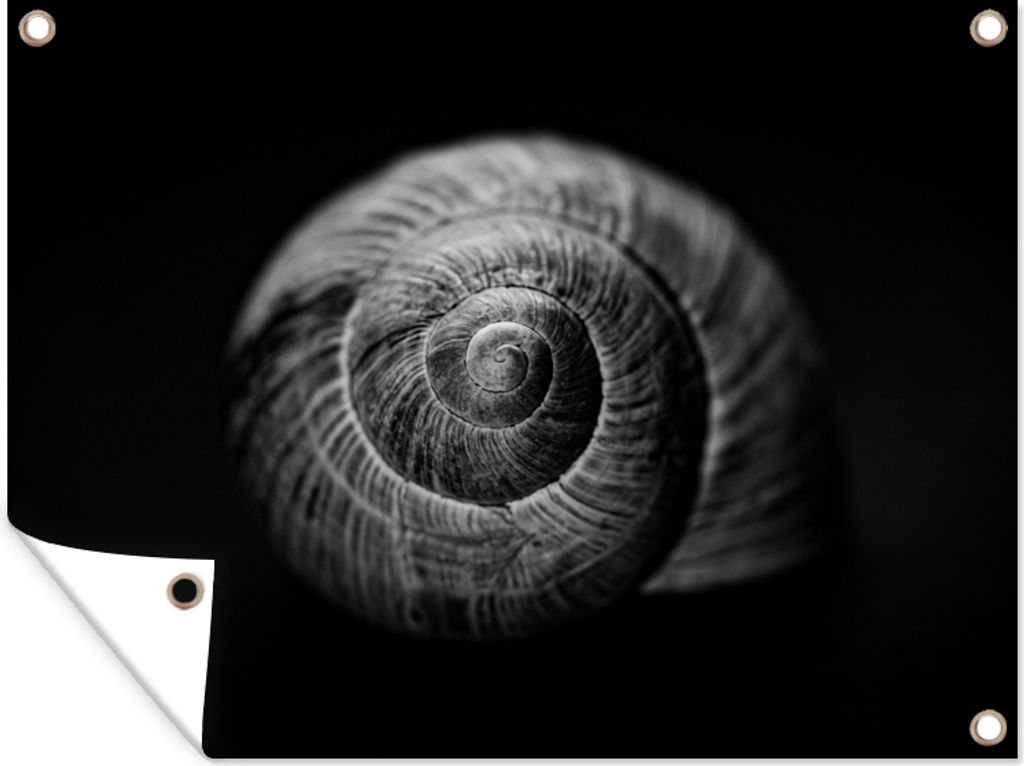 MuchoWow 120x90 cm Outdoor-Poster Gartendeko Sichtschutz Garten Poster für den Garten Schnecke - Tiere - Schwarz - Weiß - Schneckenhaus