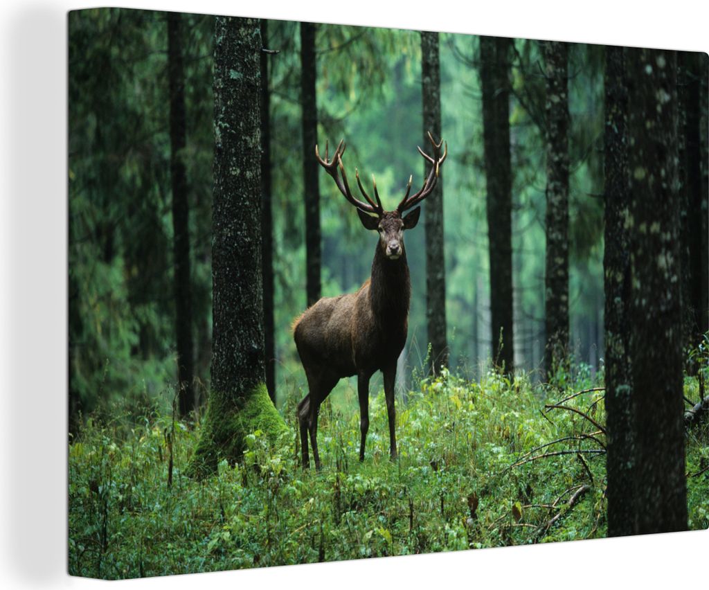 OneMillionCanvasses - Leinwandbilder - 150x100 cm, Hirsche - Wald - Bäume - Tiere - Natur, Wandbilder Kunstdruck Wanddekoration - Foto auf Leinw...