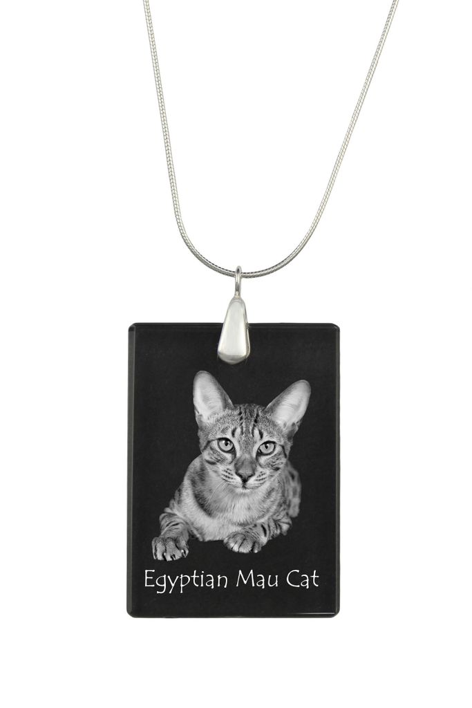 Ägyptische Mau Katze - Crystal pendant with cat, silver necklace with photo, personalised pendant by Art-Dog brand
