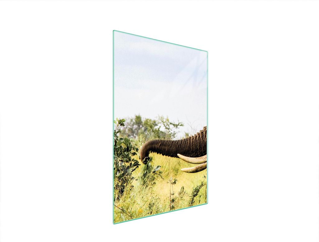 Glasschneidebrett 35x52 Elefant