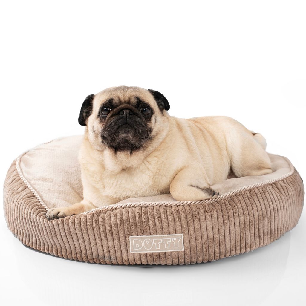 Kuscheliges Plüschbett Hundebett Katzenbett DOTTY - weiches rundes PLÜSCH Kissen für kleine und mittelgroße Hunde und Katzen Schlafplatz Größ...