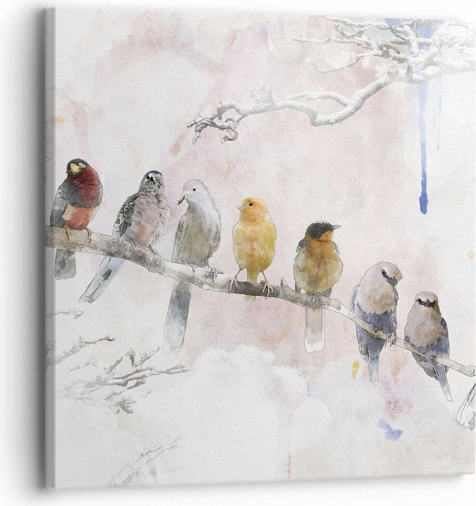 Bild auf Leinwand - Leinwandbild - Einteilig - Vögel Kanarienvogel Zweig - 30x30cm - Wand Bild - Wanddeko - Wandbilder - Leinwanddruck - Bilder - ...